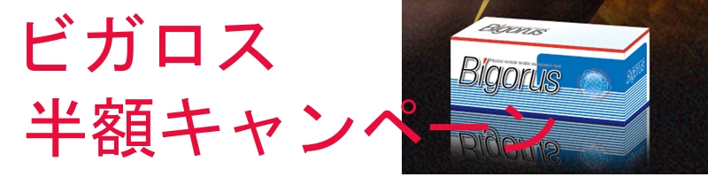 �r�K���XBIGORUS �j���̓p���[UP�T�v�����p��30���ɓ˔j���T�C�g